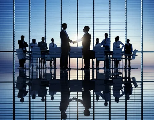 management Team