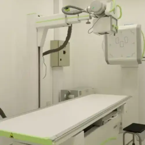 X-Ray